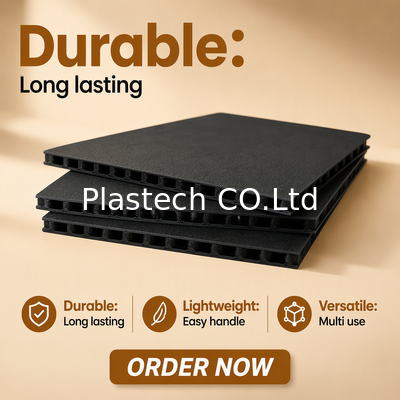 qualità  10mm 3000gsm Plastic Proction Plastic Sheet Fly case Hoenycomb Polypropylene Flight Panel fabbrica