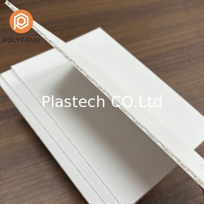 Pannelli personalizzabili in foglio alveolare PP da 4 mm laminato per rivestimenti interni di furgoni cargo Ford