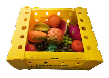 Uva passa della frutta che imballa la scatola di plastica ondulata vuota dei pp